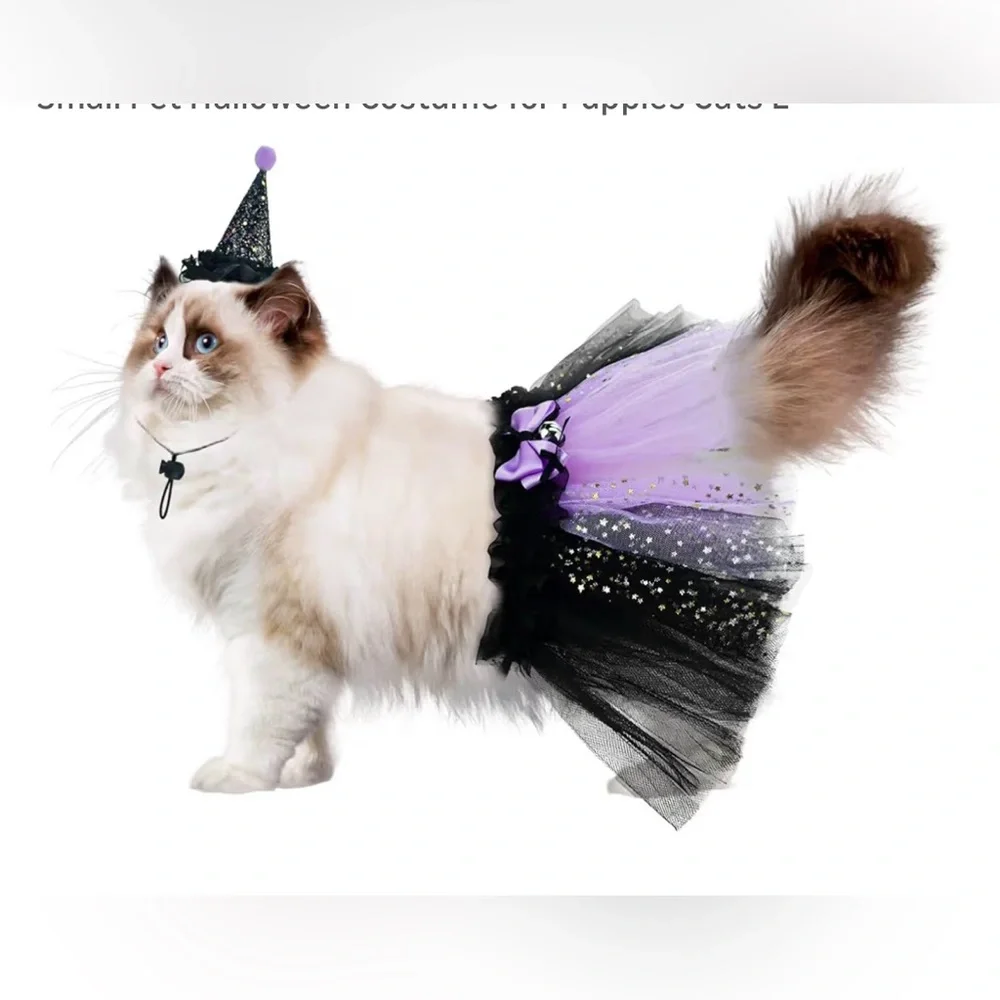 Witch Costume for Cat Kitten, size Medium ,Witch's Hat & Black Tutu Skirt